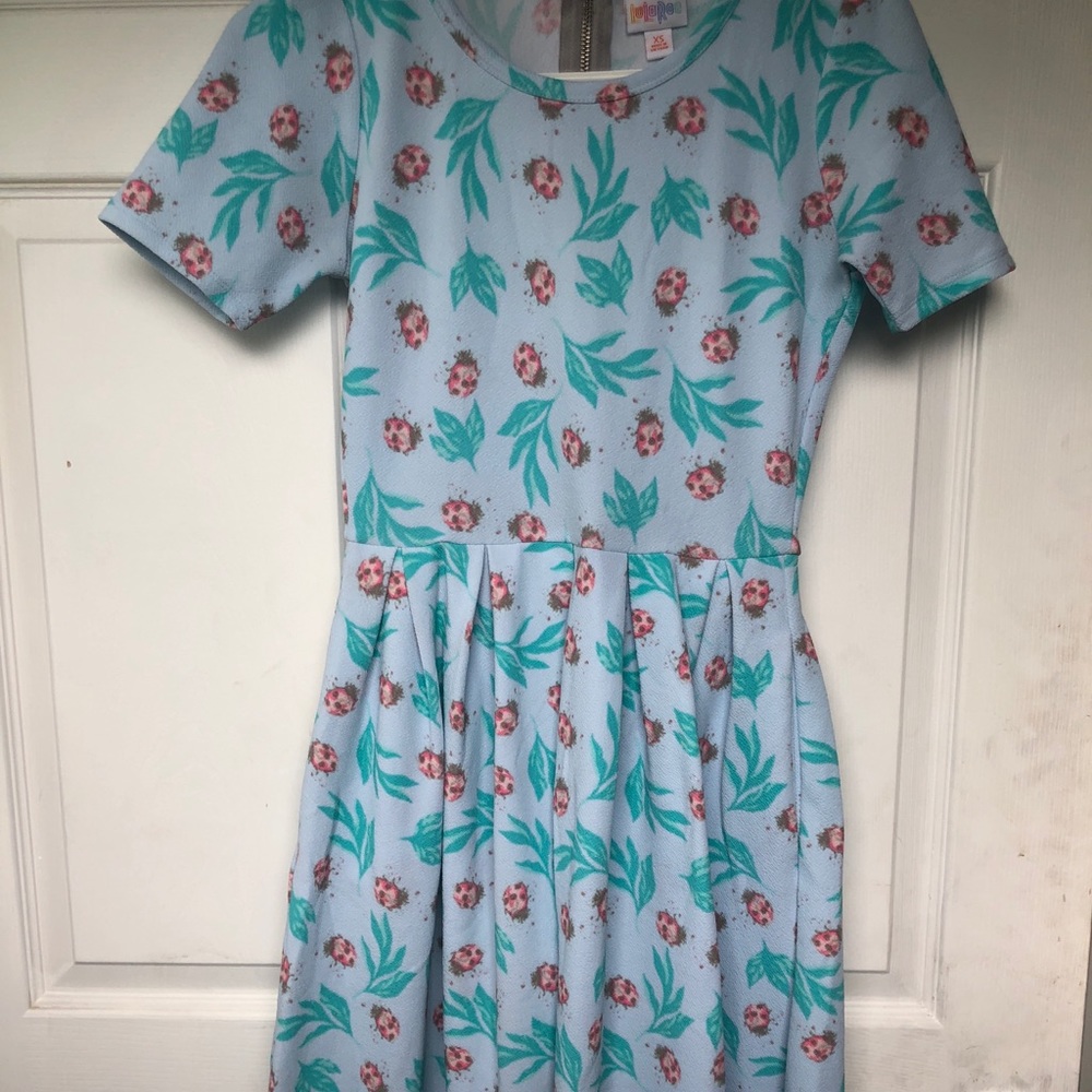 LuLaRoe Amelia- Size XS.
